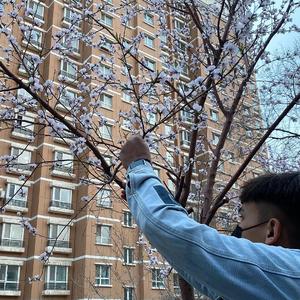 俄罗斯女人与动zoz0
