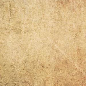 俄罗斯女人与动zoz0
